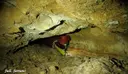 Cova de la Font - Миниатюра 10, Febró, La