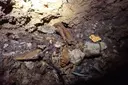 Avenc de Corral de Reina - Thumbnail 5, Roquetes