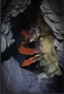 Cova Muria - Miniatura 4, Alfara de Carles