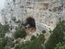 Cova Nº2 de la Galiassa - Miniatura 1, Roquetes