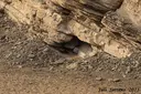 Cova de Sant Oïsme - Miniatura 10, Camarasa