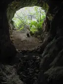 Cova Mingola - Miniatura 1, Freginals