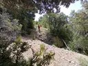 Grallera de Baiarri - Miniatura 1, Conca de Dalt