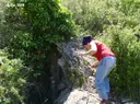 Avenc del Ginebró - Miniatura 1, Begues