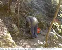 Cova de les Valls - Miniatura 3, Tavertet