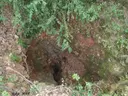 la Font Falsa de Guanta - Миниатюра 3, Sentmenat
