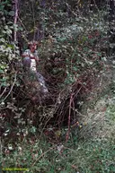 Tuta de Can Barraca - Thumbnail 1, Sant Joan de les Abadesses