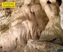 Cova de Montglòs - Miniatura 5, Cellera de Ter, La