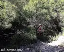 Forat del Túnel - Thumbnail 4, Camarasa