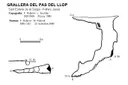 Grallera del Pas del Llop - Miniatura 1, Sant Esteve de la Sarga