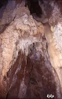 Grallera de Corona - Miniatura 7, Sant Esteve de la Sarga