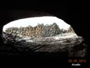 Cova de Montadó - Miniatura 6, Isona i Conca Dellà