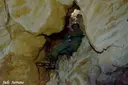 Avenc Petit del Caro - Miniatura 6, Roquetes