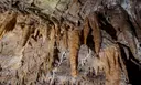 Cova de les Encantades - Miniatura 14, Queralbs
