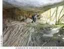 Balma de Cal Coix - Miniatura 3, Lluçà