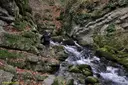 la Dou del Bastareny - Miniatura 6, Gisclareny