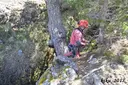 Grallera de Cambrils - Miniatura 4, Odèn