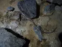 Avenc del Pèlec - Miniatura 4, Vallirana