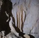 Avenc de la Solana de Ca la Torre - Miniatura 8, Pratdip