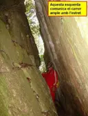 el Carrer de la Fou - Miniatura 6, Brull, El