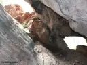 Cova Intermèdia de la Roca d'urús - Miniatura 4, Urús