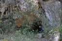 Cova del Drac de Vilarjoan - Miniatura 1, Moià