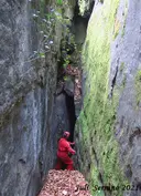 Bora del Camí - Miniatura 4, Esquirol, L'