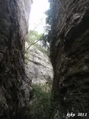 Avencots dels Motllats de la Pona - Miniatura 2, Febró, La