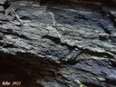 Avenc de la Rendisclera - Miniatura 7, Camarasa