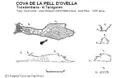 Cova de la Pell d'ovella - Thumbnail 1, Torredembarra