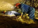 Cova de la Font de Miravall - Miniatura 3, Valls d'Aguilar, Les
