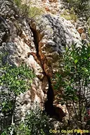 Balma I Cova de les Falzies - Miniatura 4, Calders
