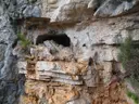 Cova de Mont-ral - Miniature 1, Mont-ral