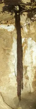 Avenc de la Rosita - Miniatura 5, Sales de Llierca