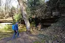 Balma de la Font del Clotet - 缩略图 1, Prats de Lluçanès