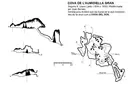 Cova del Dos - Miniatura 3, Benifallet