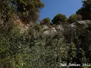 Forat del Túnel - Thumbnail 5, Camarasa