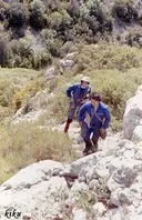 Cova del Mandril - Miniatura 2, Avellanes i Santa Linya, Les