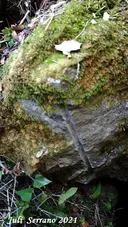 Avenc Sm-17 de la Serra del Mas - Miniatura 2, Vallirana