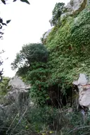 Cova del Carxol - Miniatura 1, Begues