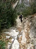 Cova Colomera - Miniatura 5, Sant Esteve de la Sarga