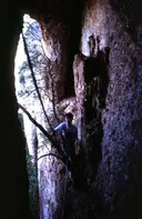 Cova de l'Esquirol - Miniatura 6, Mura
