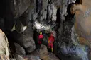 Cova dels Muricecs - Miniatura 10, Llimiana