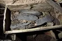 Espluga del Sabater - Miniatura 5, Coll de Nargó