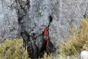 Graller del Portús - Thumbnail 10, Pont de Suert, El