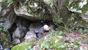 Cova de la Jeta - Thumbnail 4, Mediona
