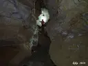 Cova de la Vila - Miniatura 10, Febró, La