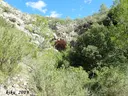 Cova de la Solana de Ca la Torre - Miniatura 1, Pratdip
