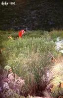 Avenc de les Dues Boques - Miniatura 1, Gavà