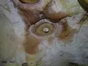 Avenc de la Rendisclera - Miniatura 10, Camarasa